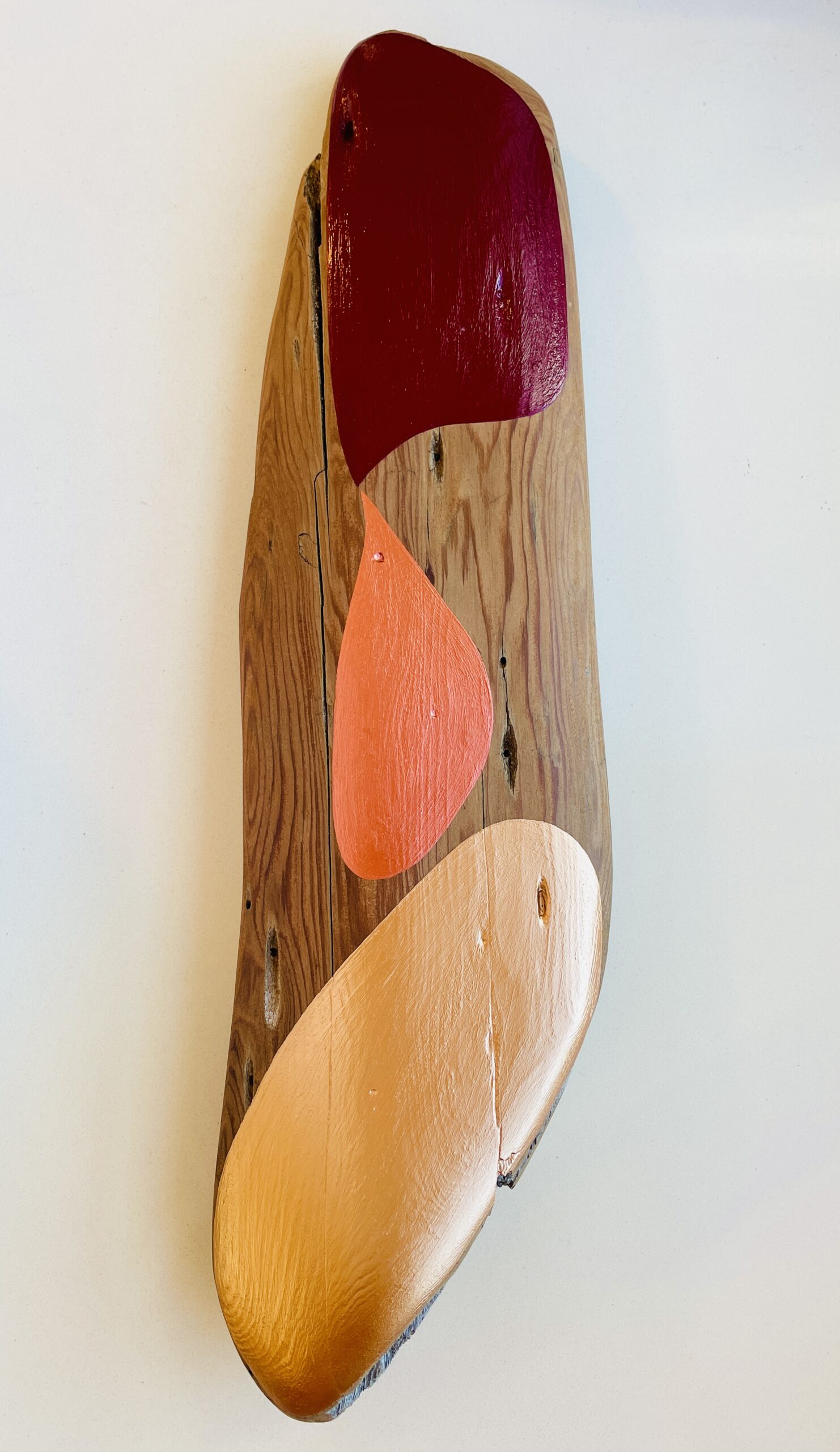 driftwood54