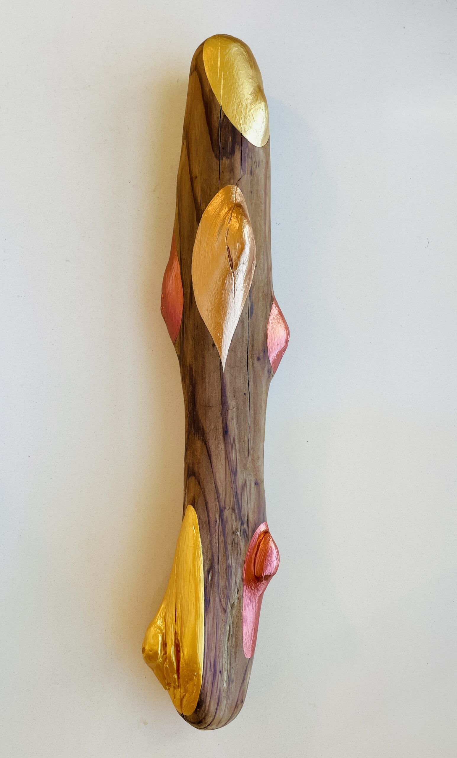 driftwood57